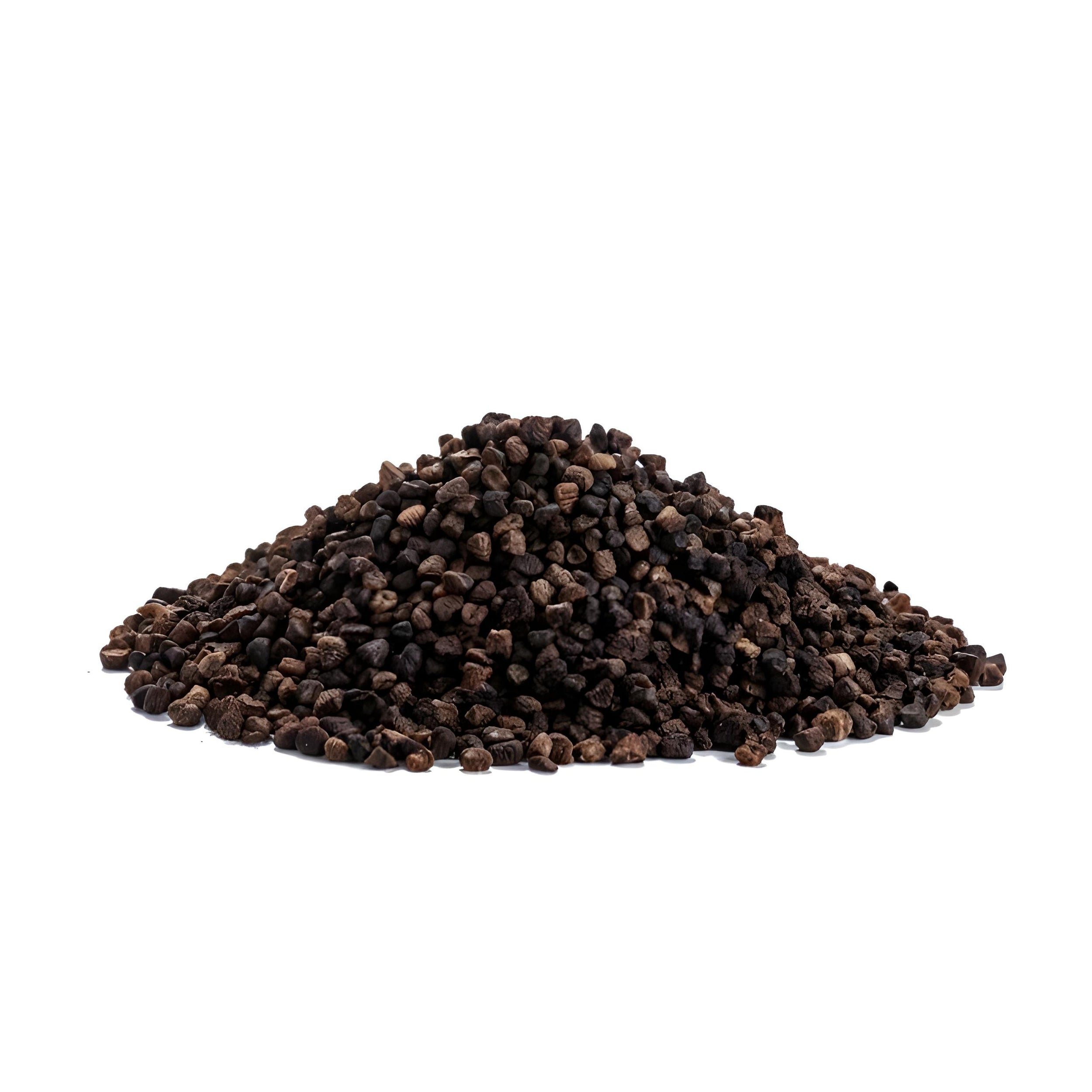 Elettaria cardamomum (Cardamom) Seeds