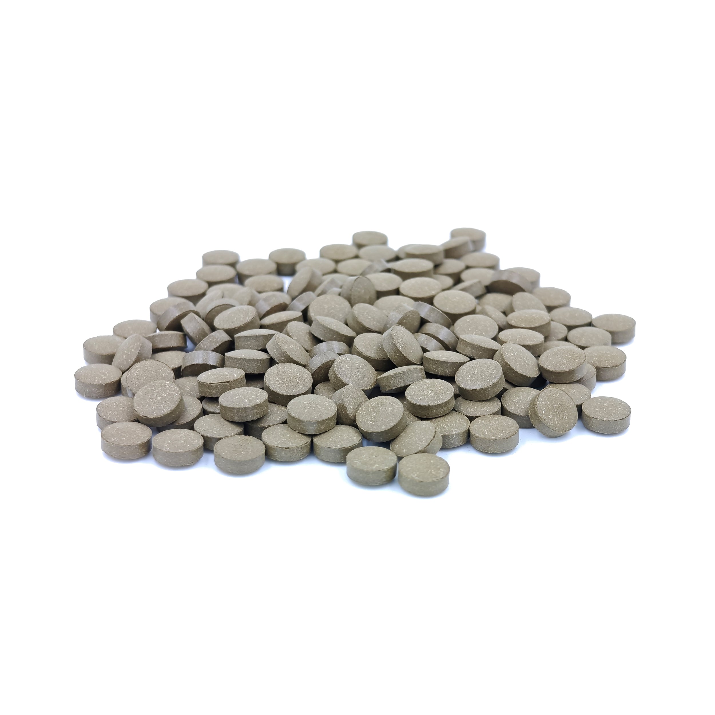 Tulsi Tablet (Ocimum basilicum)