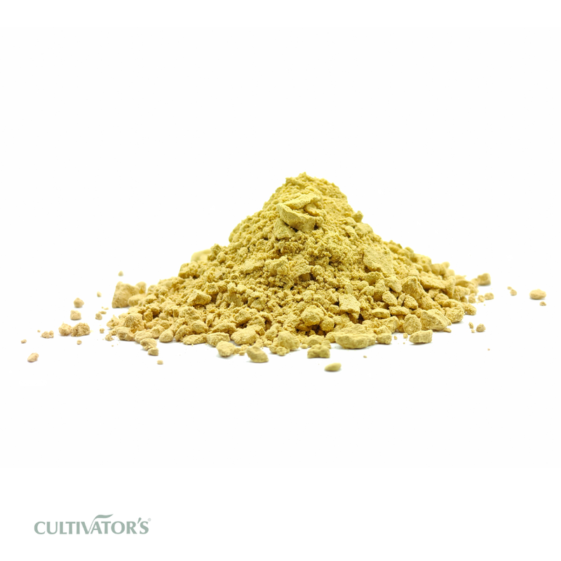 Organic Ginger Powder