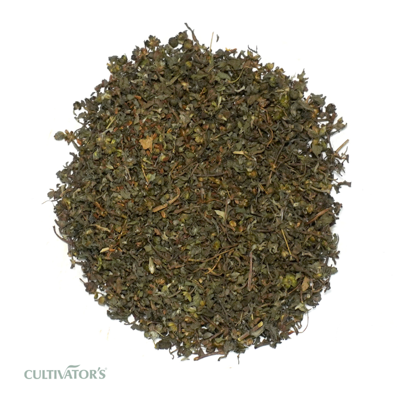 Organic Bhringraj Plant