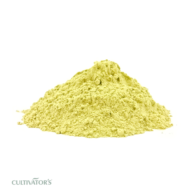 Organic Kalmegh Powder