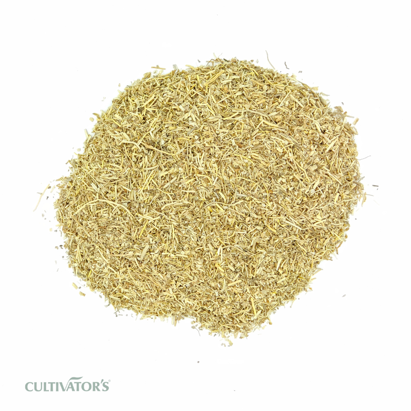 Organic Vetiver Root TBC