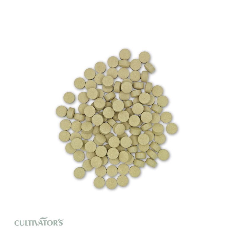 Organic Guduchi Tablets