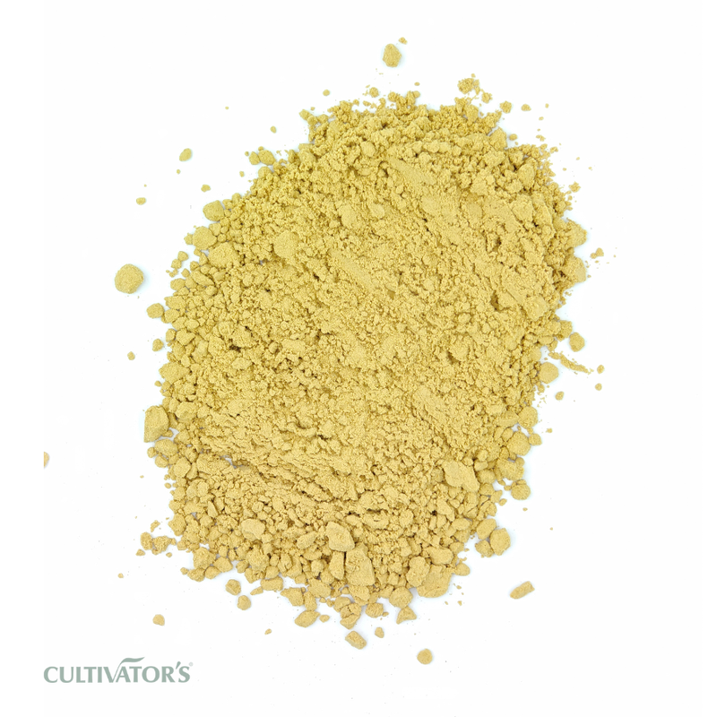Organic Ginger Powder