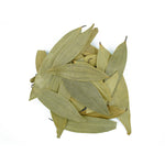 Cinnamomum tamala (Bay Leaves) Leaves