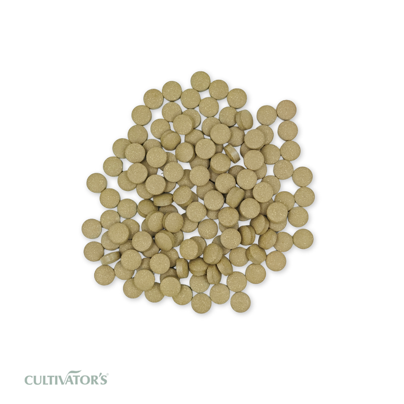 Organic Rama Tulsi Tablets