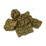 Bauhinia variegata (Kachnar) Bark