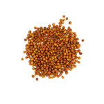 Celastrus paniculatus (Malkangni) Seeds