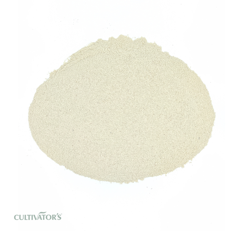 Organic Indian Frankincense Powder