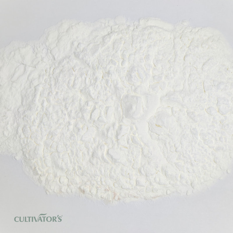 Organic Arrowroot Powder