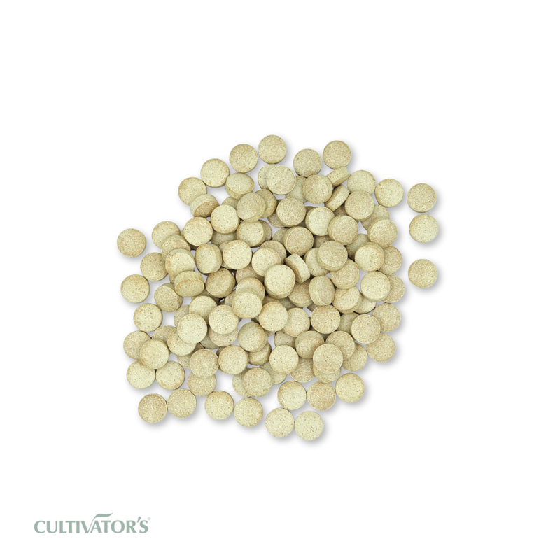 Organic Chicory Tablets