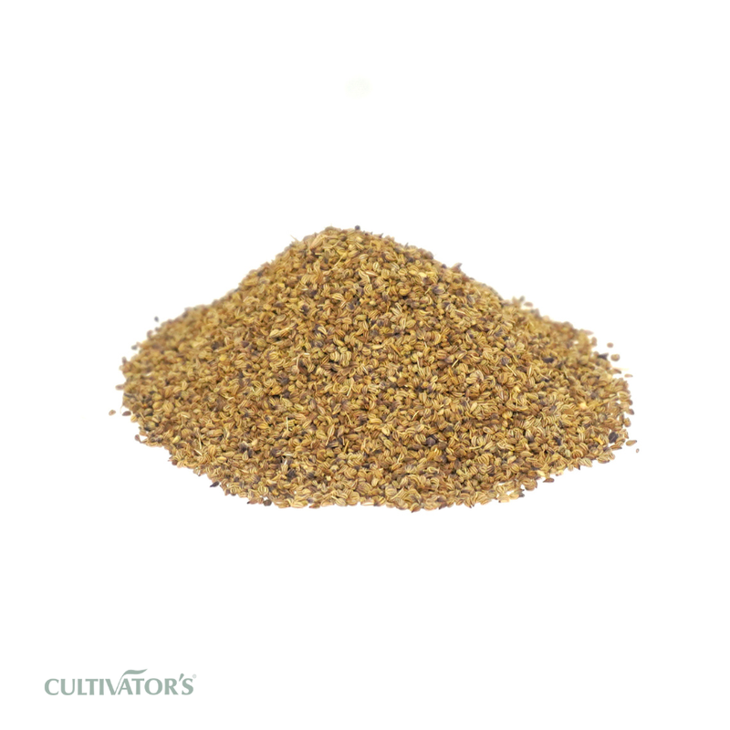 Organic Ajwain Seeds