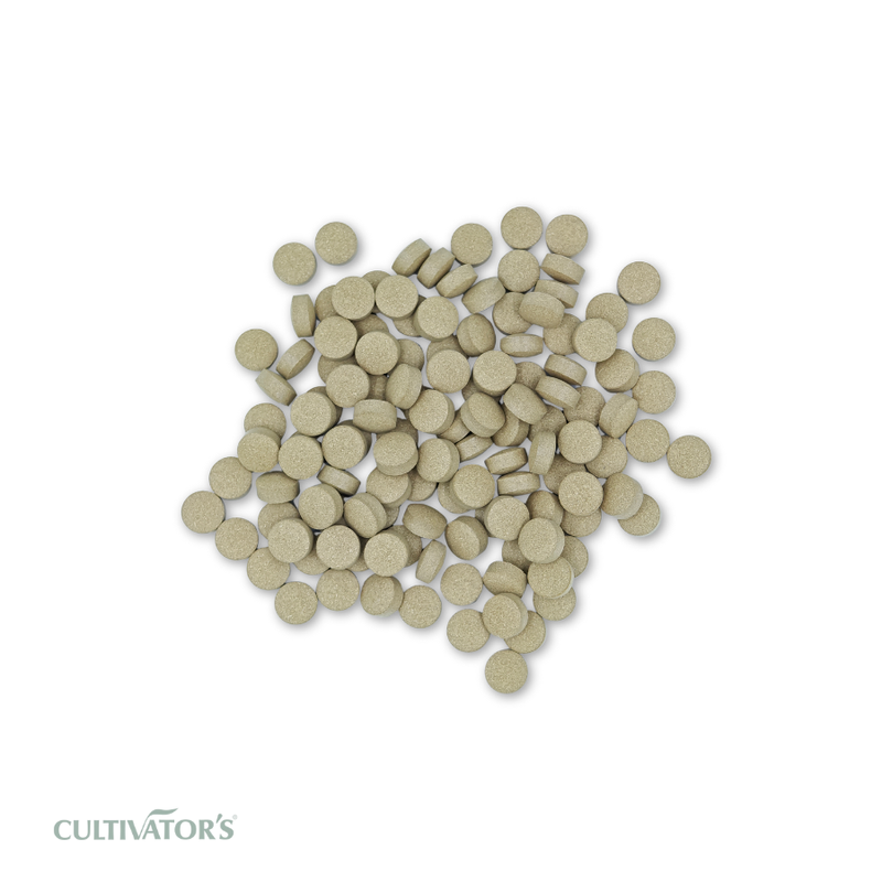 Organic Brahmi Tablets