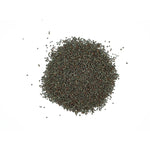 Brassica nigra (Black Mustard) Seeds