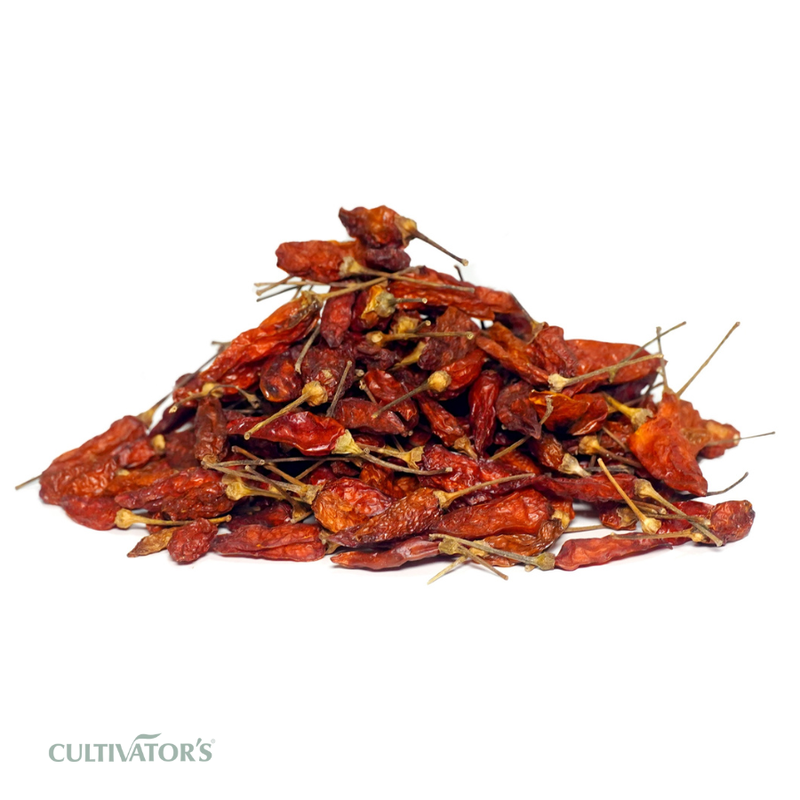Organic Birds Eye Chili Fruits