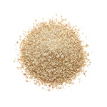 Mangifera indica (Mango) Unripe Fruits C&S