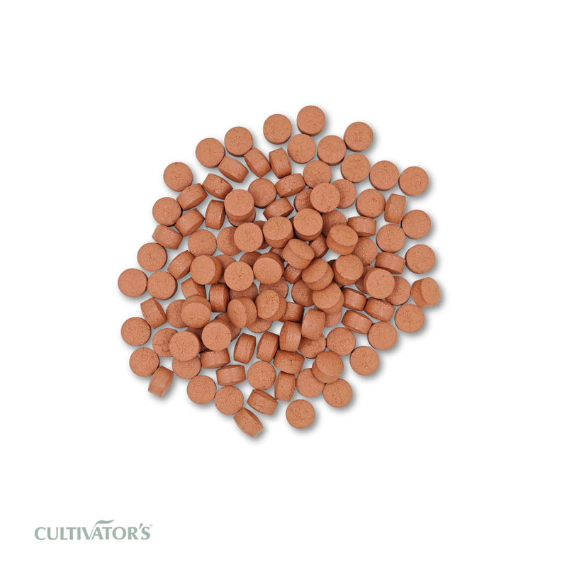 Organic Manjistha Tablets