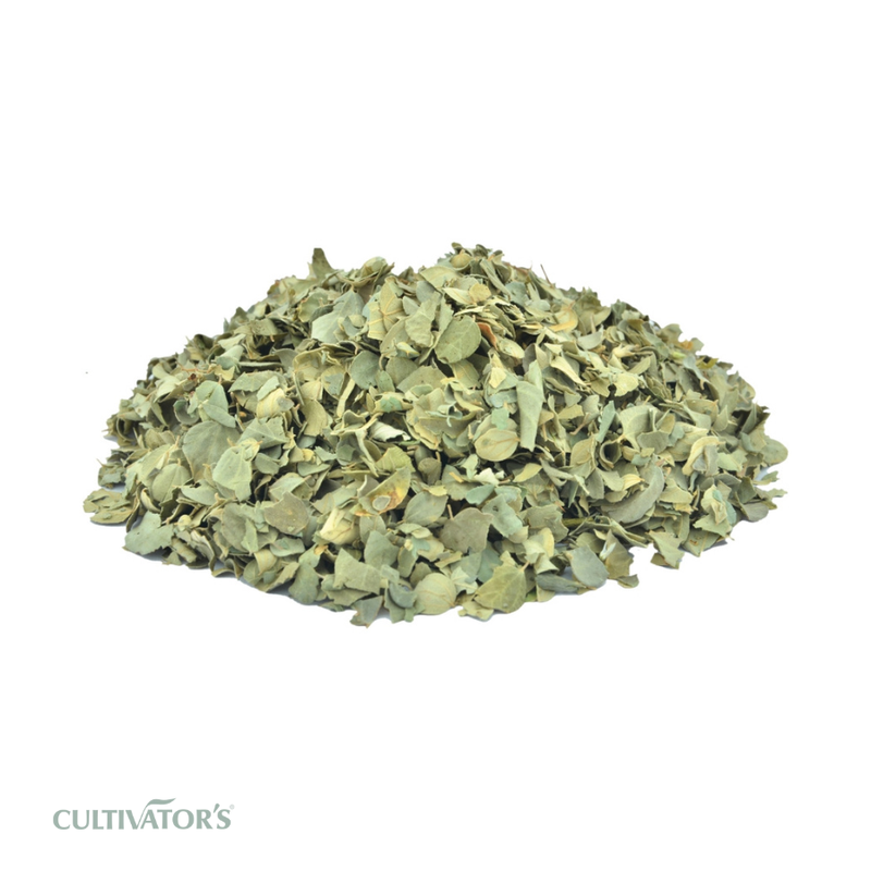 Organic Jujube Leaves