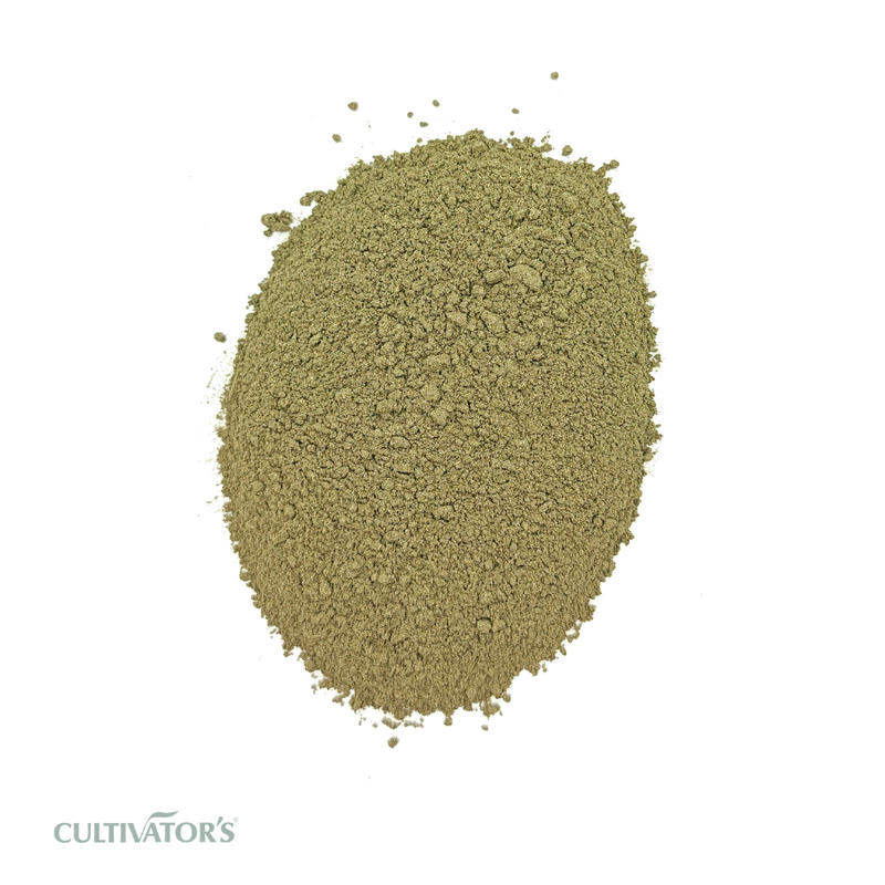 Organic Bhringraj Powder