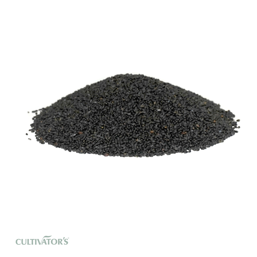 Organic vana tulsi Seeds