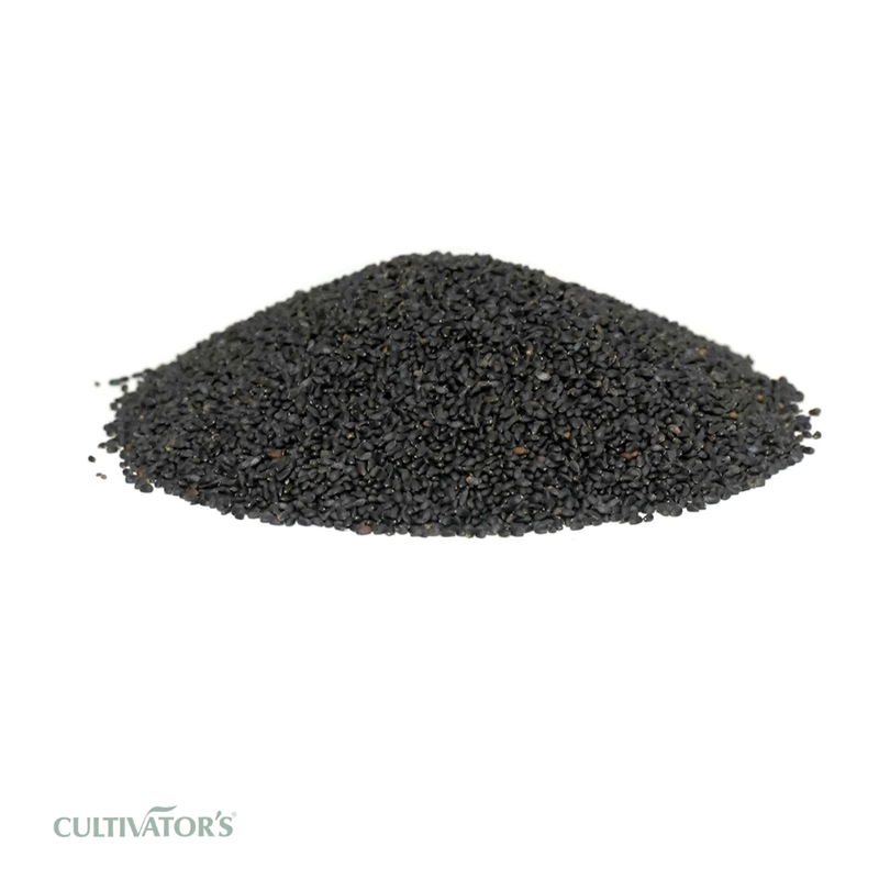 Organic vana tulsi Seeds