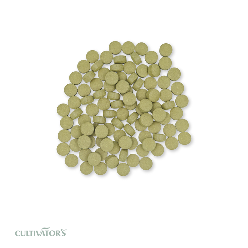 Organic Senna Tablet