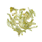 Aloe barbadensis (Aloe vera) Leaves