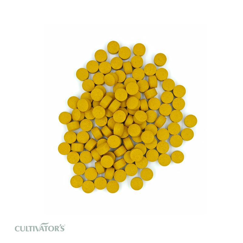 Organic Turmeric Tablets