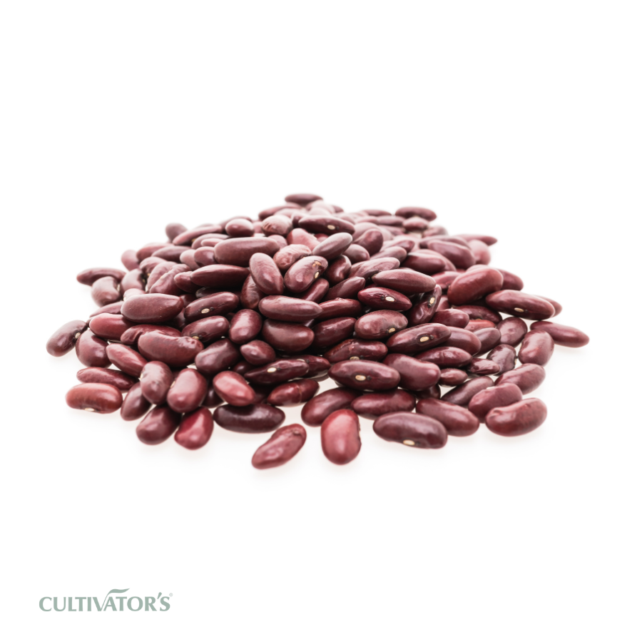 Organic Kidney Beans