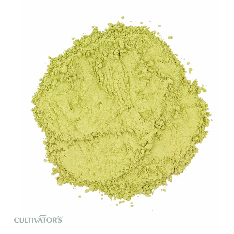 Organic Kalmegh Powder