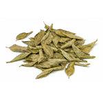 Murraya koenigii (Curry Leaves) Leaf