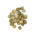 Myristica fragrans (Nutmeg) Seeds