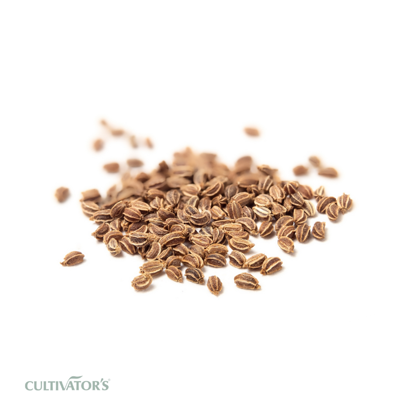 Organic Celery Seeds