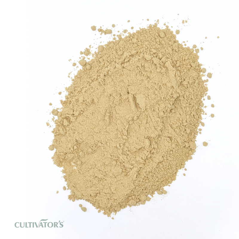 Organic Vetiver Root Powder