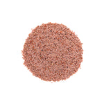 Plantago ovata (Psyllium) Seeds
