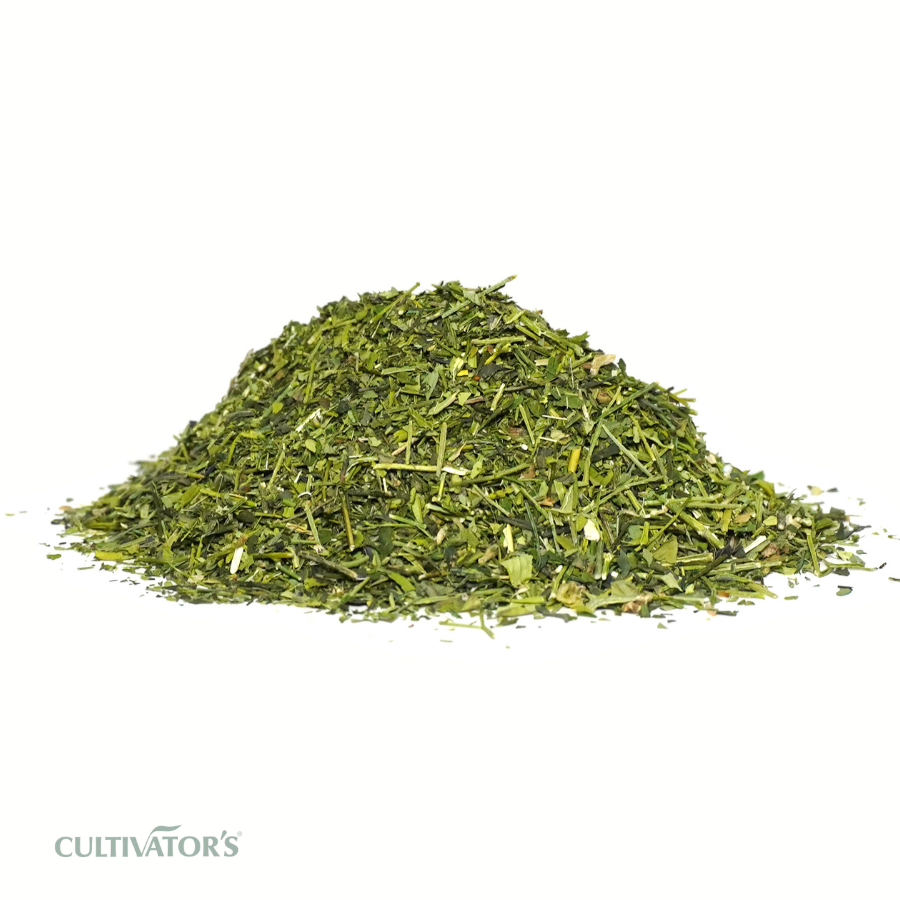 Organic Kalmegh plant