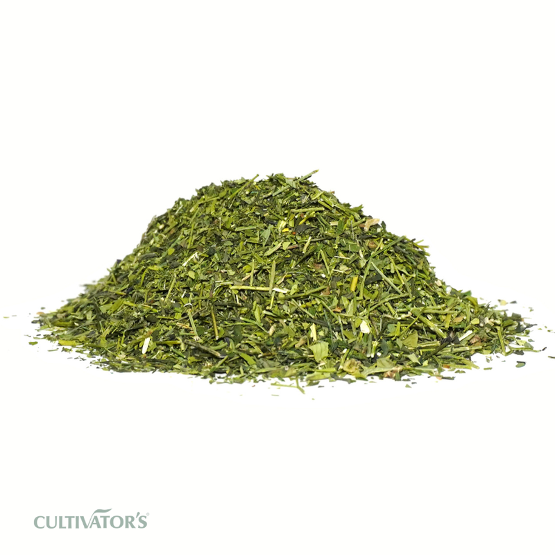 Organic Kalmegh plant