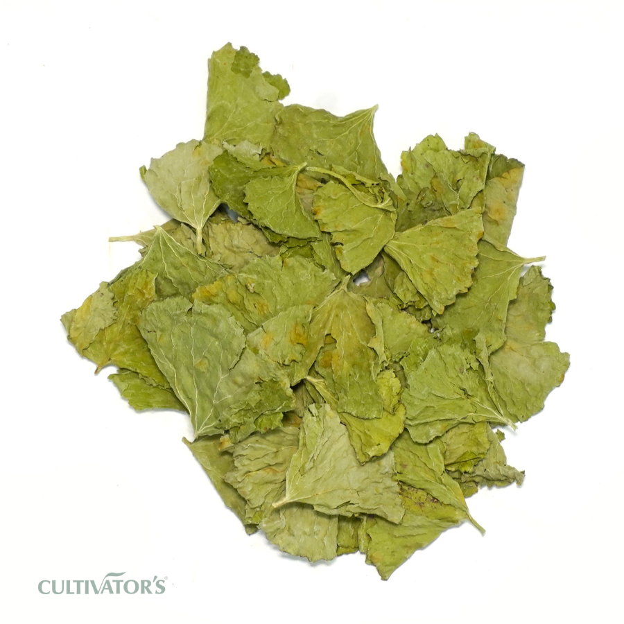 Organic Gotu Kola Leaves
