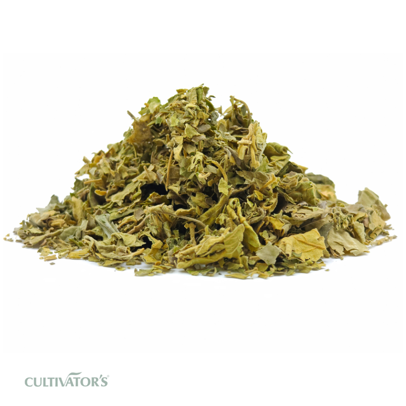 Organic Gurmar Leaves