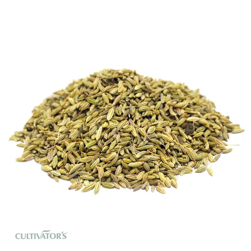 Organic Fennel Seeds