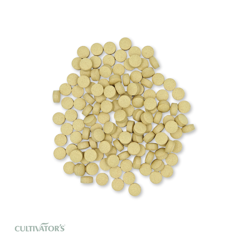 Organic Ginger Tablets