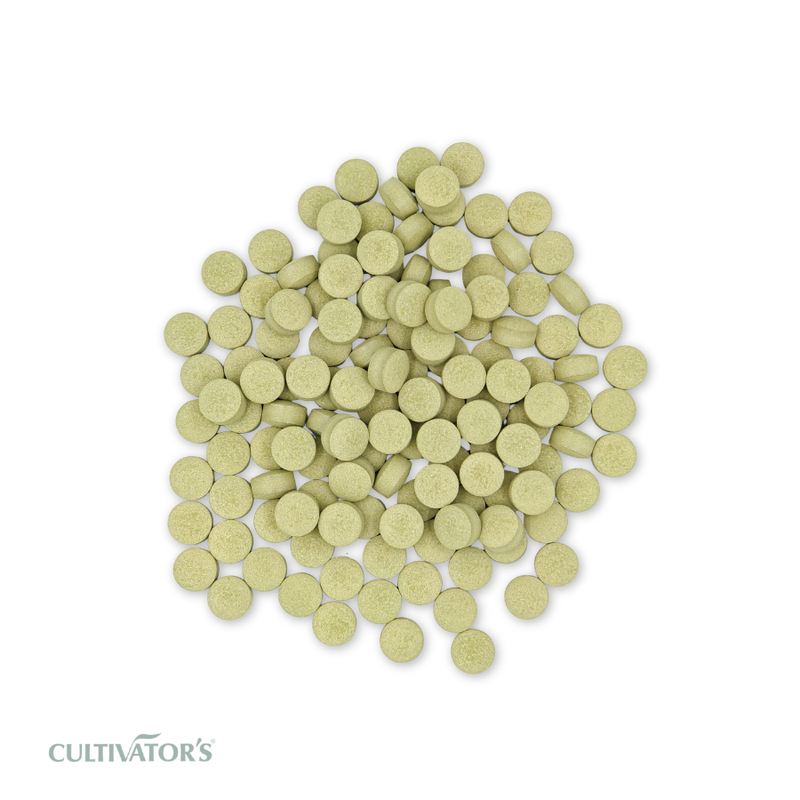 Organic Gurmar Tablets