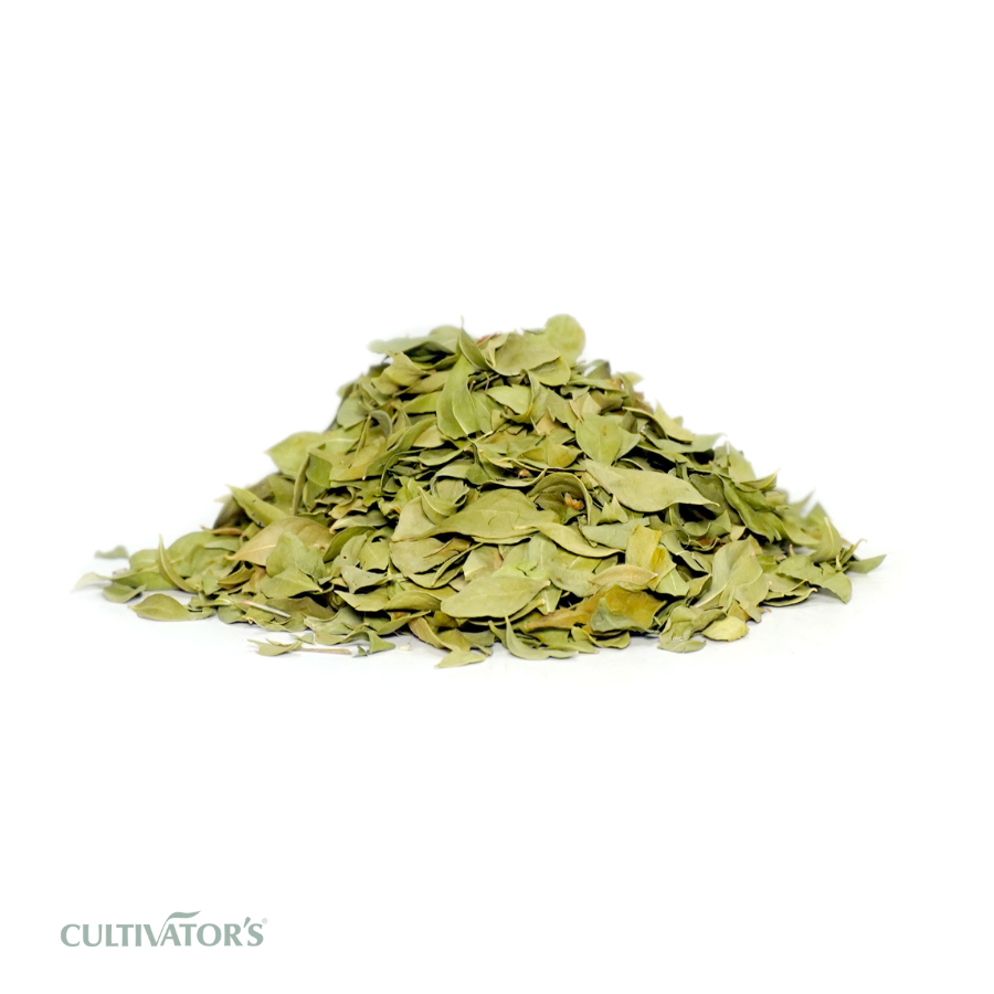 Organic Henna Leaves