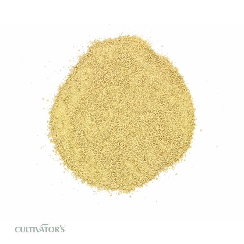 Organic Ginger granules