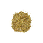 Coriandrum sativum (Coriander) Seeds