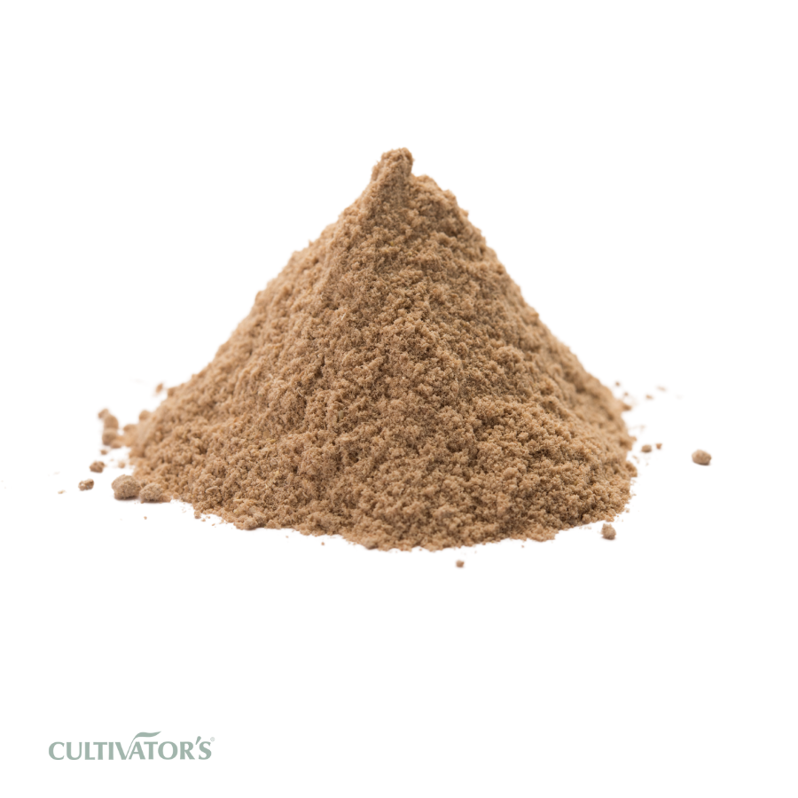 Organic Amchur Powder