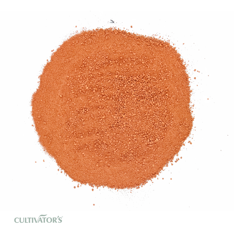 Organic Manjistha Root Granules