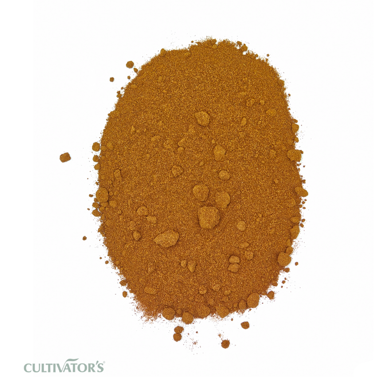 Organic Roasted Chicory Root Powder