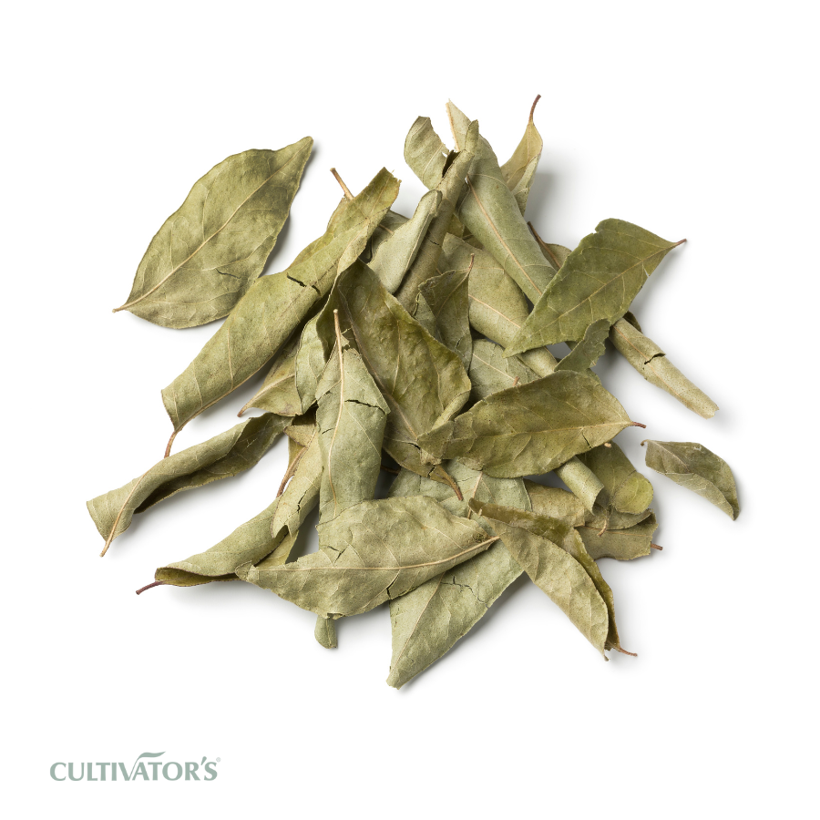 Organic Curry Leaves