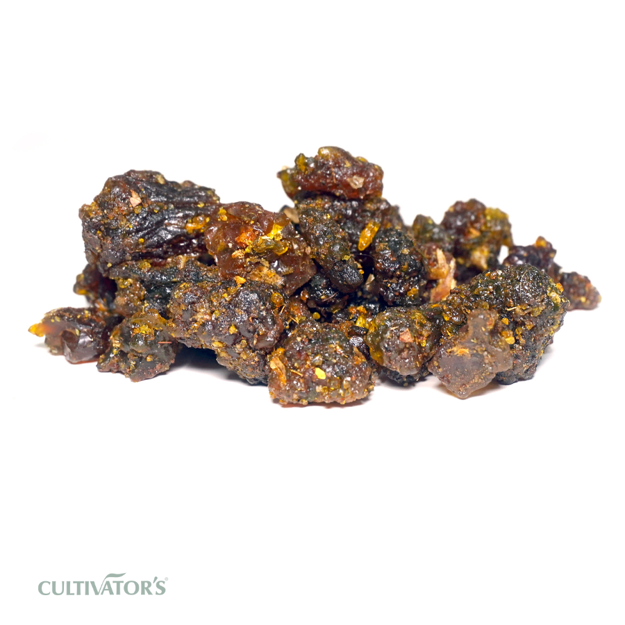 Organic Guggul Resin
